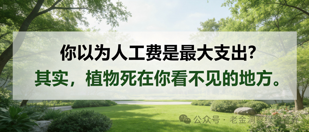 园林养护的三大成本黑洞：只盯着人吗？