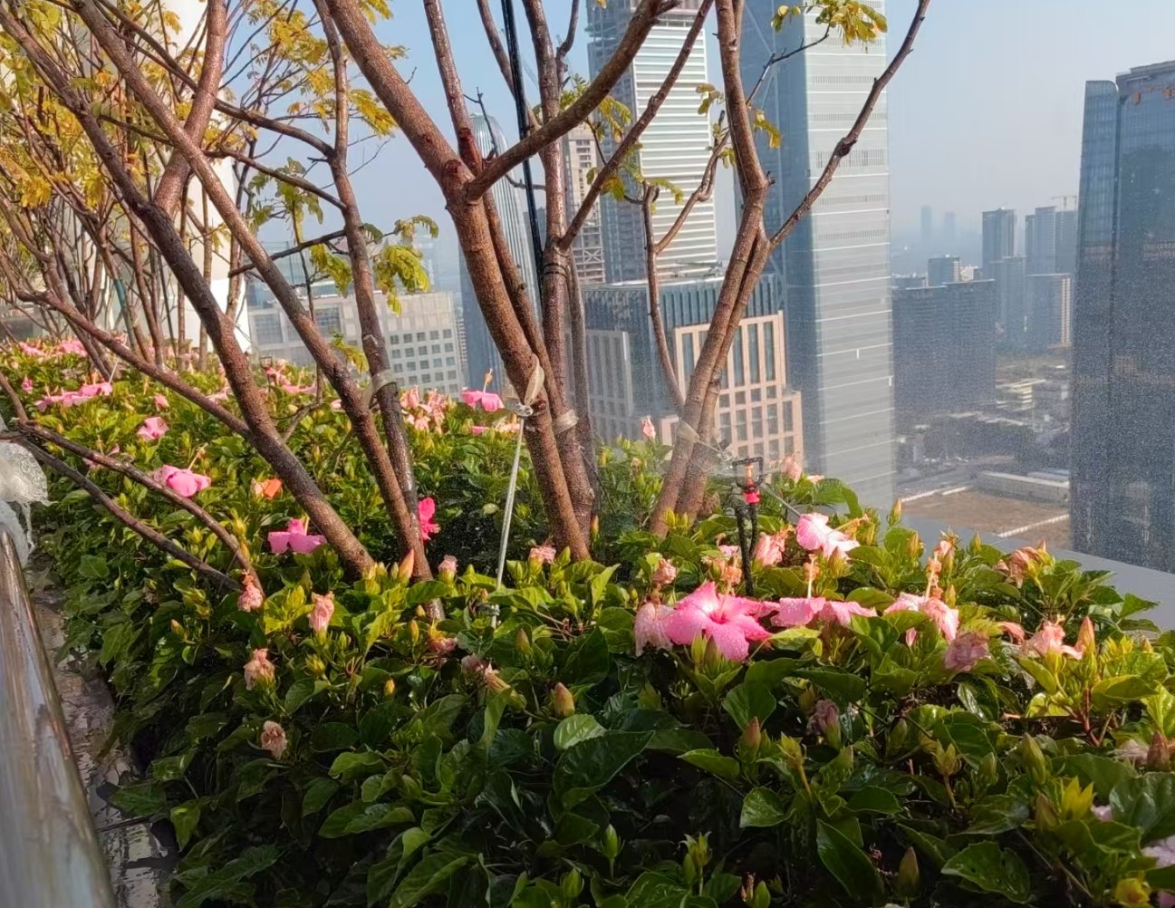 三一集团华南总部塔楼花境